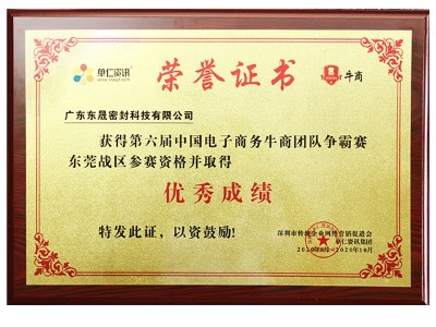 優(yōu)秀成績證書-東晟唇形密封圈