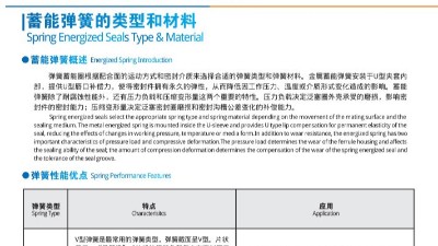 彈簧蓄能型密封圈特點