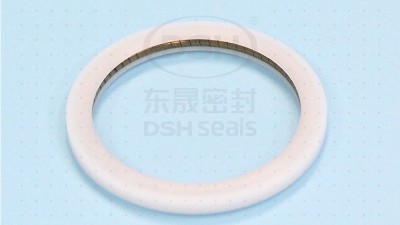 電機(jī)轉(zhuǎn)軸密封可以采用PTB泛塞封密封圈