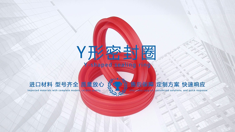 y型密封圈（又Y形密封圈，Y形圈，Y型圖或唇形密封圈，密封件油封膜片） (3)
