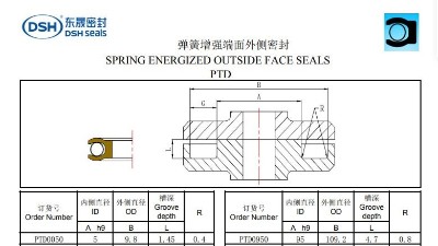 新版彈簧增強(qiáng)端面外側(cè)密封